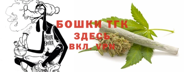 соль ск Богданович
