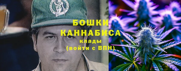 соль ск Богданович