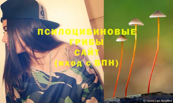 альфа пвп Богородицк