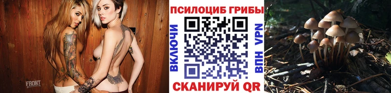 Псилоцибиновые грибы Cubensis  Ессентуки 